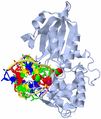 Image Biological Unit 1