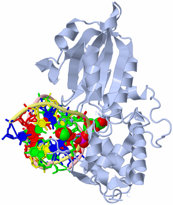 Image Biol. Unit 1 - sites