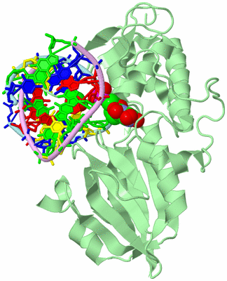 Image Biological Unit 2