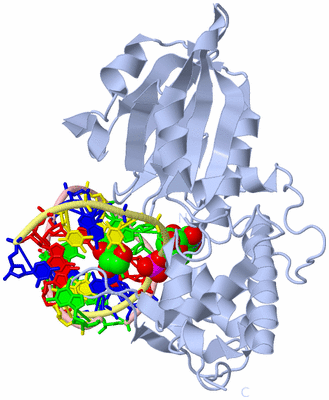 Image Biological Unit 1