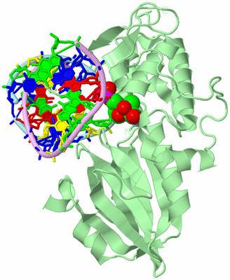 Image Biological Unit 2