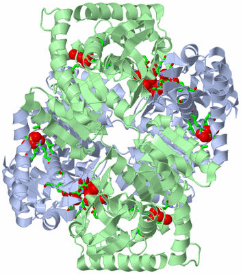 Image Biol. Unit 1 - sites