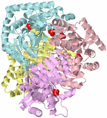 Image Biological Unit 2