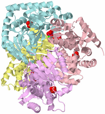 Image Biological Unit 2