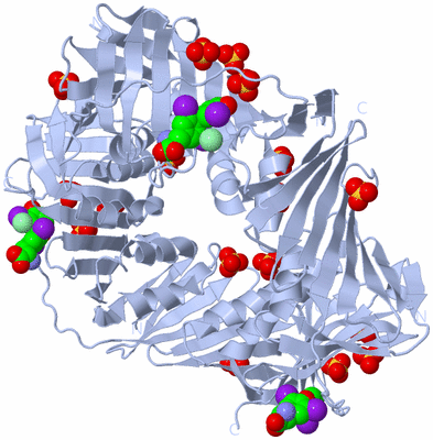 Image Biological Unit 1