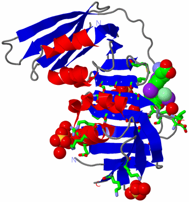 Image Asym. Unit - sites