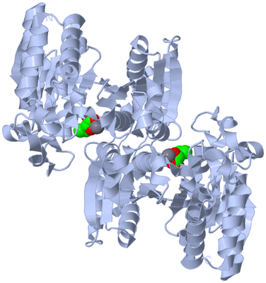 Image Biological Unit 1