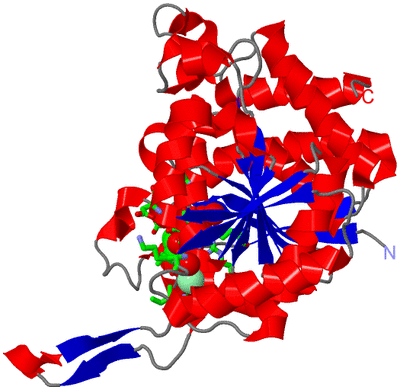 Image Asym. Unit - sites