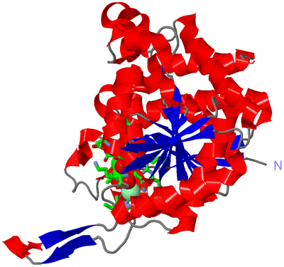 Image Asym. Unit - sites