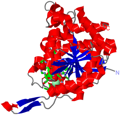 Image Asym. Unit - sites