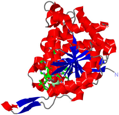 Image Asym. Unit - sites