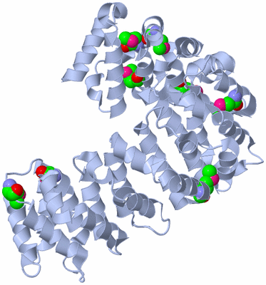 Image Biological Unit 1