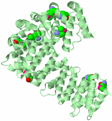 Image Biological Unit 2