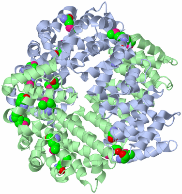 Image Biological Unit 3