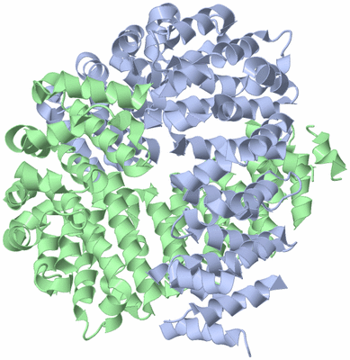 Image Biological Unit 3