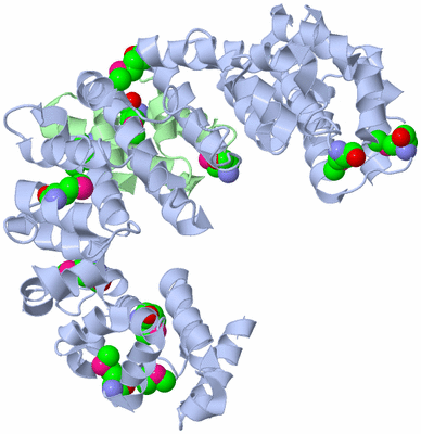 Image Biological Unit 1