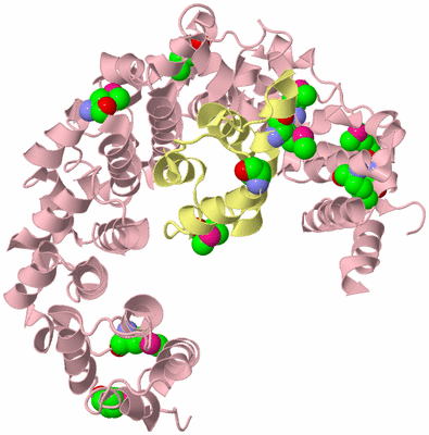 Image Biological Unit 2