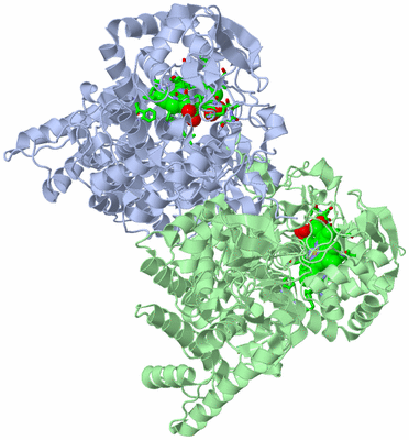 Image Asym./Biol. Unit - sites