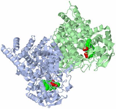 Image Asym./Biol. Unit