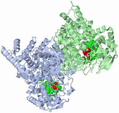 Image Asym./Biol. Unit - sites