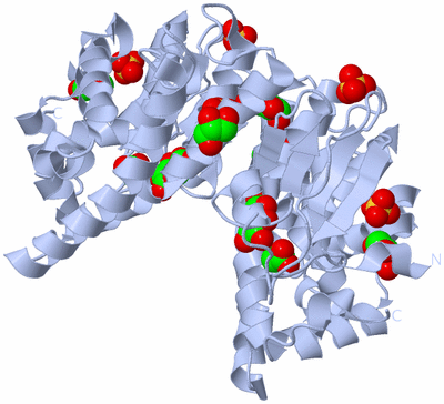 Image Biological Unit 1