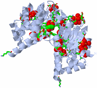 Image Biol. Unit 1 - sites