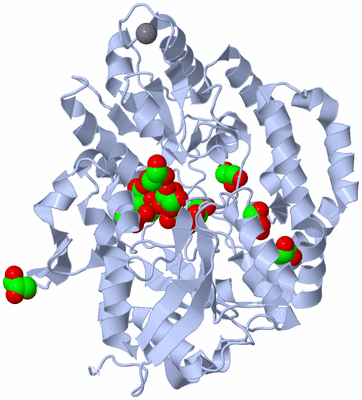 Image Biological Unit 1