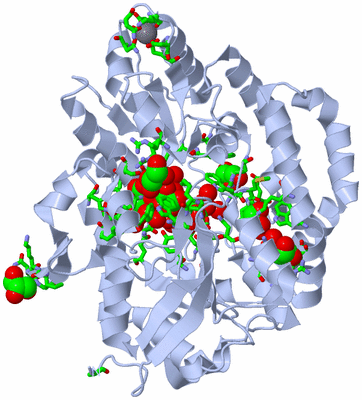 Image Biol. Unit 1 - sites