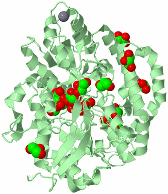 Image Biological Unit 2