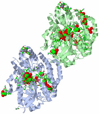 Image Asym. Unit - sites