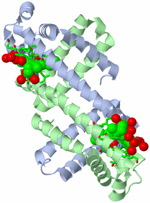 Image Asym./Biol. Unit - sites