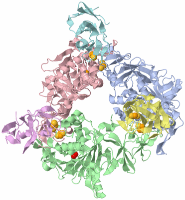 Image Asym./Biol. Unit