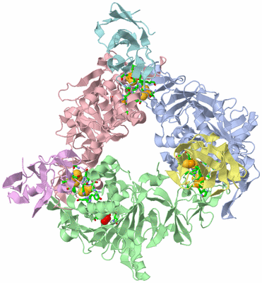 Image Asym./Biol. Unit - sites