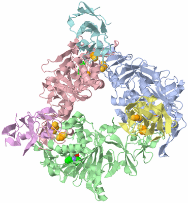 Image Asym./Biol. Unit