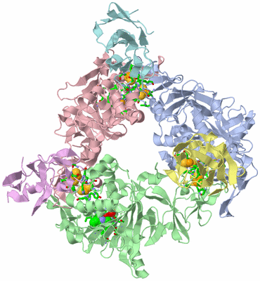 Image Asym./Biol. Unit - sites