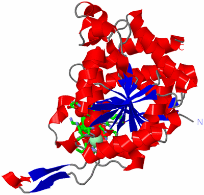 Image Asym. Unit - sites