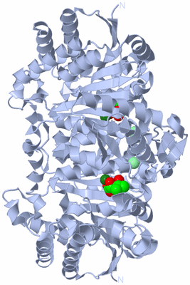 Image Biological Unit 1