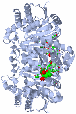 Image Biol. Unit 1 - sites