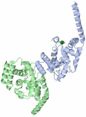 Image Asymmetric Unit