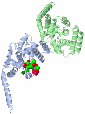 Image Asymmetric Unit