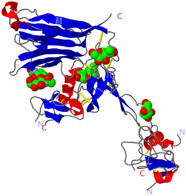 Image Asymmetric Unit