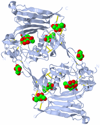 Image Biological Unit 2