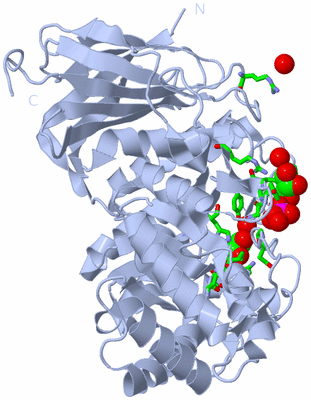 Image Biol. Unit 1 - sites