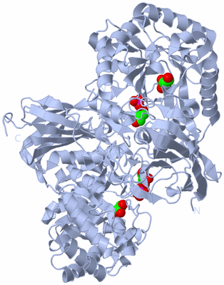 Image Biological Unit 2