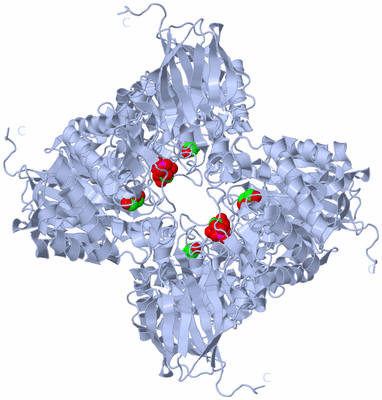 Image Biological Unit 3