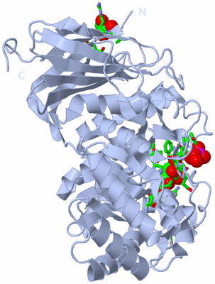 Image Biol. Unit 1 - sites