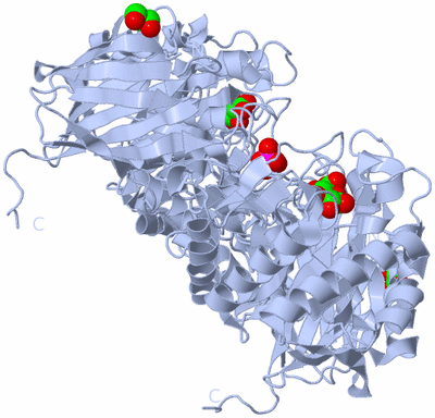 Image Biological Unit 2