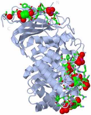 Image Biol. Unit 1 - sites