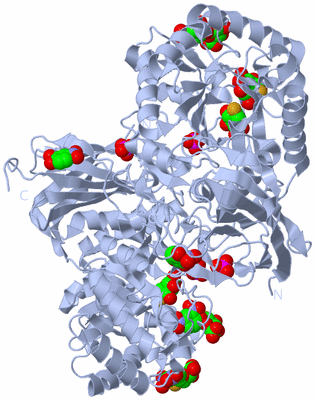 Image Biological Unit 2