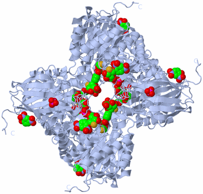 Image Biological Unit 3